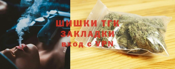 PSILOCYBIN Снежногорск
