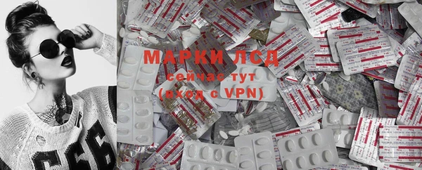 PSILOCYBIN Снежногорск