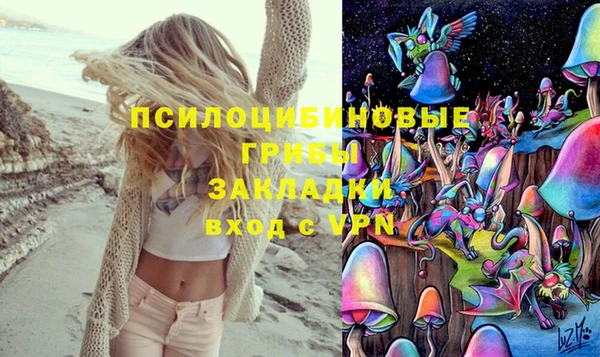 PSILOCYBIN Снежногорск