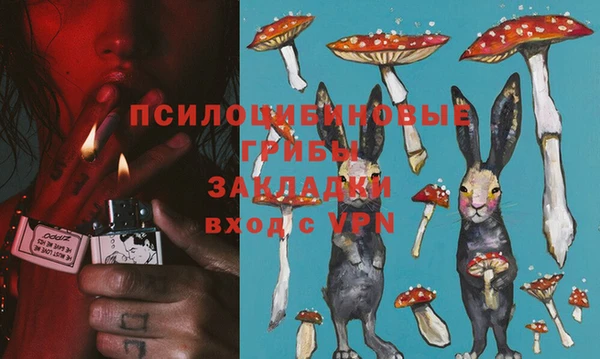дживик Абаза