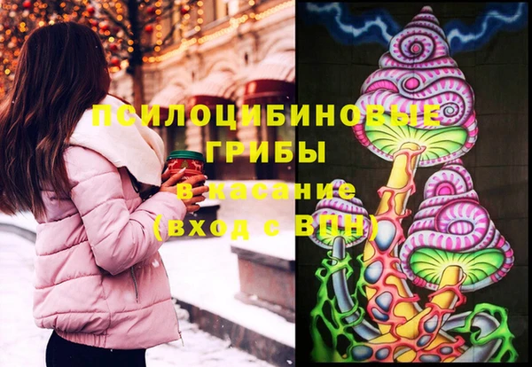 ПСИЛОЦИБИНОВЫЕ ГРИБЫ Снежинск