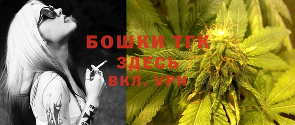 дживик Абаза