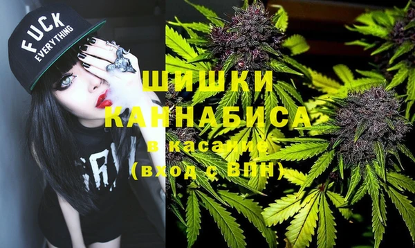 дживик Абаза