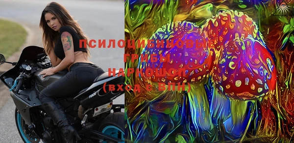 ПСИЛОЦИБИНОВЫЕ ГРИБЫ Снежинск