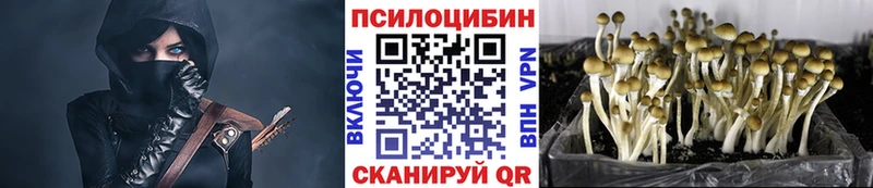 Галлюциногенные грибы Psilocybine cubensis  купить наркоту  Вытегра 