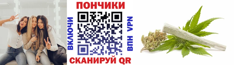 Каннабис марихуана  продажа наркотиков  Вытегра 